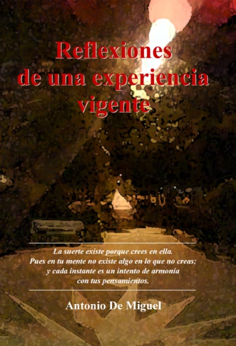 Reflexiones de una Experiencia Vigente